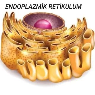 Sticker from mypack