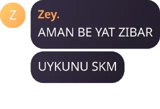💻 emoji HAREM(zeyle deltanın) pack by @QuotLyBot Telegram sticker 18 of 118