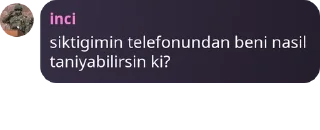 🧷 emoji HAREM(zeyle deltanın) pack by @QuotLyBot Telegram sticker 20 of 118