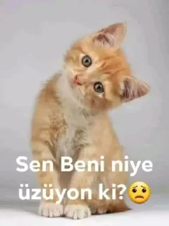 🤔 emoji @Baran_nn @AsenaUserBot Paketi 1 Telegram sticker 18 of 71