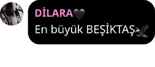 🦅 emoji Ateşpare @vernemliahend Telegram sticker 1 of 70