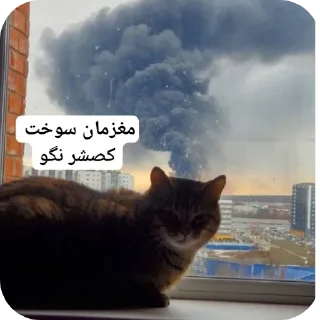 🤯 emoji کوصیشر  by @itisamirm Telegram sticker 4 of 45