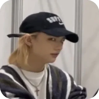 Sticker from StrayKids