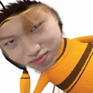 🤨 emoji Straykids Telegram sticker 19 of 30