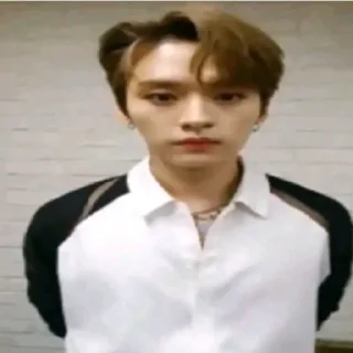 😰 emoji Straykids Telegram sticker 24 of 30