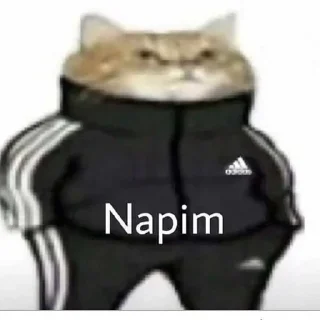 😏 emoji @baylordevil @AsenaUserBot Paketi 1 Telegram sticker 5 of 85