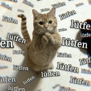 🤔 emoji büşra pack 2 Telegram sticker 9 of 119