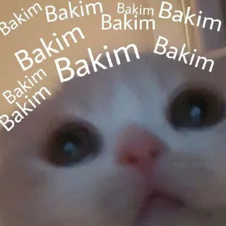 🤔 emoji büşra pack 2 Telegram sticker 8 of 119