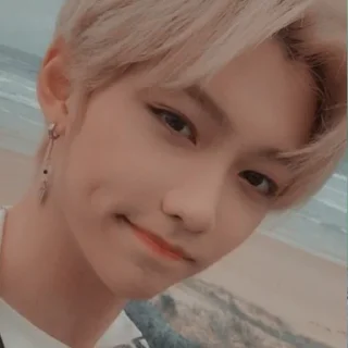 😏 emoji Straykids Telegram sticker 10 of 30