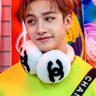 🫥 emoji Straykids Telegram sticker 12 of 30