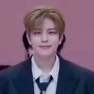 🙂 emoji Straykids Telegram sticker 8 of 30