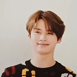 🫠 emoji Straykids Telegram sticker 21 of 30