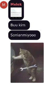 🤔 emoji @Grimalkinn @AsenaUserBot Paketi 1 Telegram sticker 11 of 70