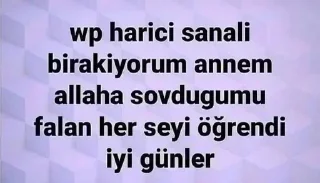 🌟 emoji İnci Sözlük Sığınak pack by @QuotLyBot Telegram sticker 10 of 119