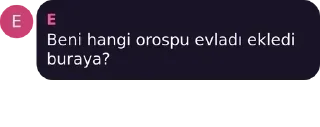 💜 emoji İnci Sözlük Sığınak pack by @QuotLyBot Telegram sticker 11 of 119