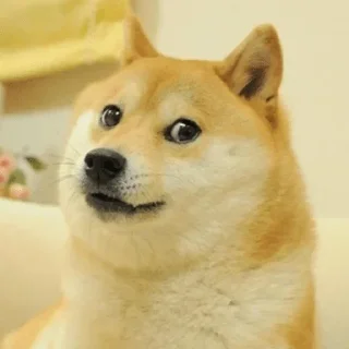 🙄 emoji DogS Telegram sticker 5 of 8