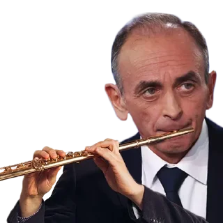 🎼 emoji Zemmour 2022 Telegram sticker 10 of 21