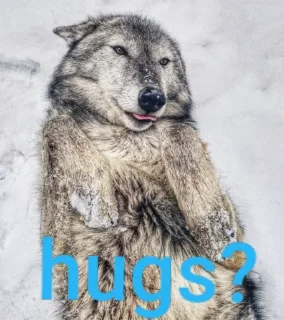 🤗 emoji Wolf Telegram sticker 19 of 53