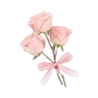 🫥 emoji myroutinegirl Telegram sticker 18 of 27
