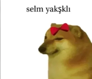 🌟 emoji @sizofrren @SiriUserBot Paketi 1 Telegram sticker 5 of 106