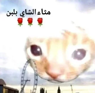 😳 emoji زنجباديات @MXGE_25 Telegram sticker 22 of 84
