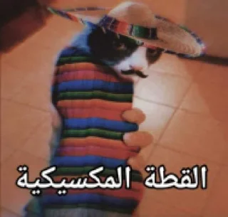 😳 emoji زنجباديات @MXGE_25 Telegram sticker 10 of 84