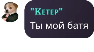 🧑‍🦳 emoji САНС У НАС ДОМ ГОРИТ! pack by @QuotLyBot Telegram sticker 22 of 120