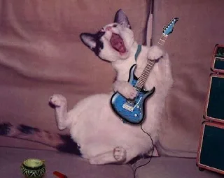 👨‍🎤 emoji Animals Telegram sticker 23 of 63