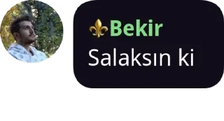 🌟 emoji ⚜️Bekir (@Nkyss) pack by @QuotLyBot Telegram sticker 14 of 110