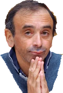 🤨 emoji Zemmour @FranceCanal Telegram sticker 14 of 49
