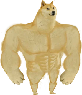 Sticker from Doge 🐶🐕