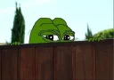 🐸 emoji Pe Pe frog v.3 Telegram sticker 14 of 120