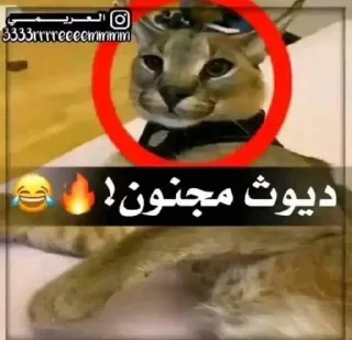 😳 emoji زنجباديات @MXGE_25 Telegram sticker 6 of 84