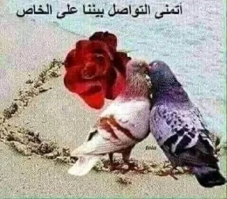 😳 emoji زنجباديات @MXGE_25 Telegram sticker 9 of 84