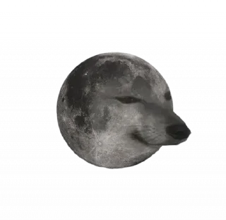 Sticker from Such a Doge By @OH_NO_CRlNGE