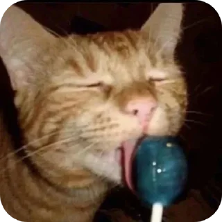🐱 emoji Freaky ahh stickers Telegram sticker 2 of 95