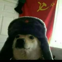 🇨🇳 emoji Doge Telegram sticker 15 of 57