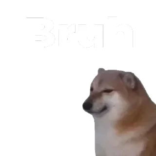 🙄 emoji @iDrinkCoffee's kang pack Vol.1 Telegram sticker 22 of 120