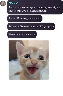 🇦🇨 emoji САНС У НАС ДОМ ГОРИТ! pack by @QuotLyBot Telegram sticker 22 of 105