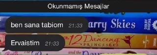 Sticker from kurabiye 2
