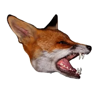 🦷 emoji Il Volpo Telegram sticker 18 of 20