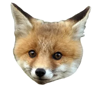 👦 emoji Il Volpo Telegram sticker 20 of 20