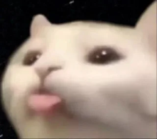Sticker from Cats_°rami°