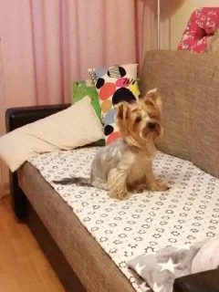 😏 emoji Маша Telegram sticker 13 of 20
