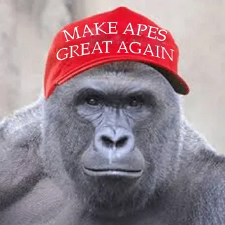 Sticker from Ape Team 500