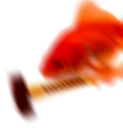 🔨 emoji Goldfish's Shitty Meme Pack Telegram sticker 14 of 92