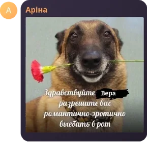 Sticker from соо 😇😇😇