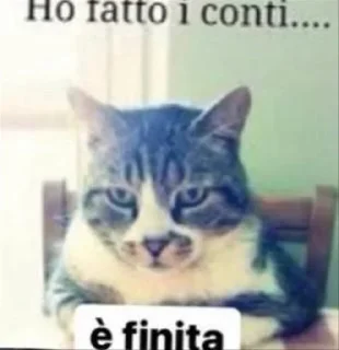 😿 emoji andiamo. 𓂺ඞ @firmamento @fatalitatis Telegram sticker 13 of 80