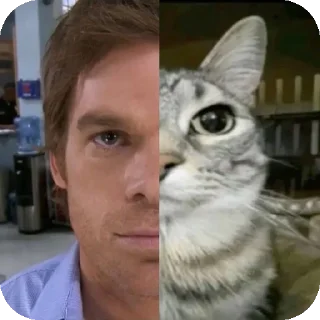 🐱 emoji Dexter Morgan Telegram sticker 7 of 14
