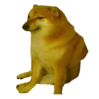 🐶 emoji @InigoPVTCH Pack Telegram sticker 8 of 120